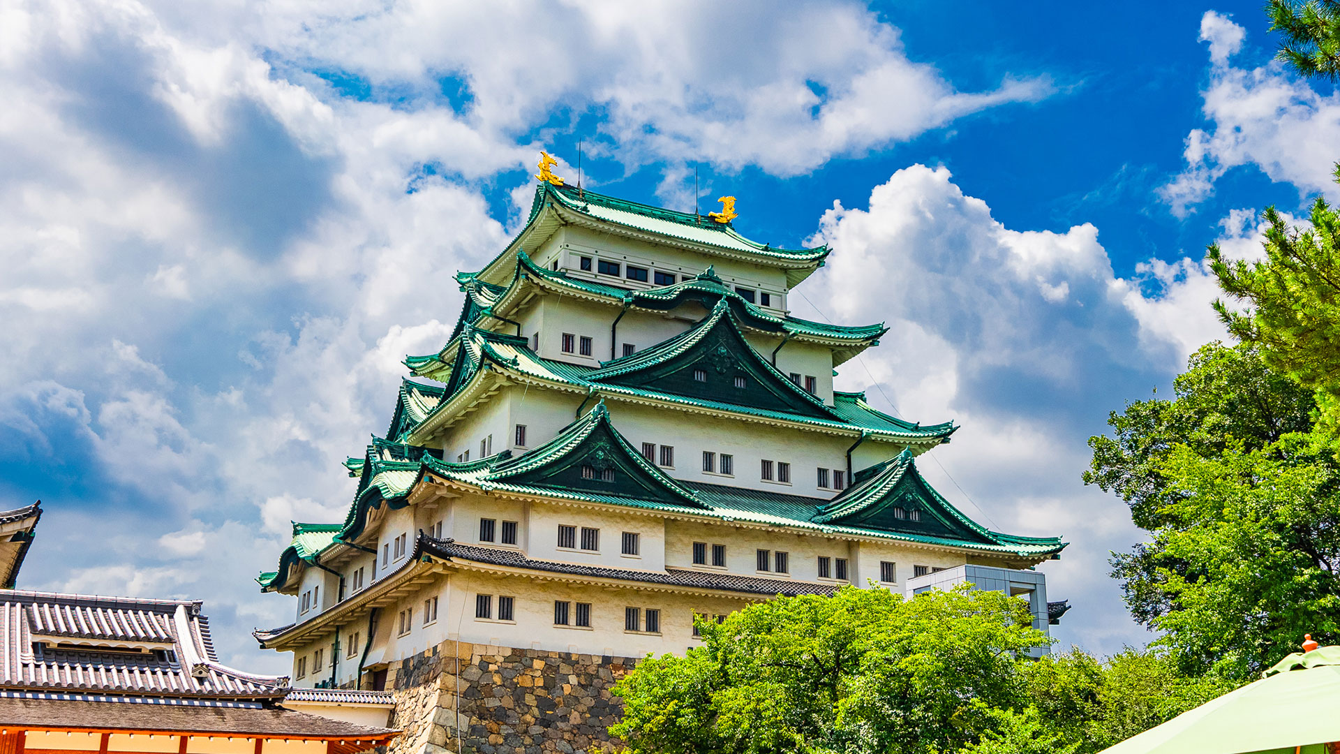名古屋城｜見どころ観光｜歴史をわかりやすく解説｜城写真の日本の旅侍