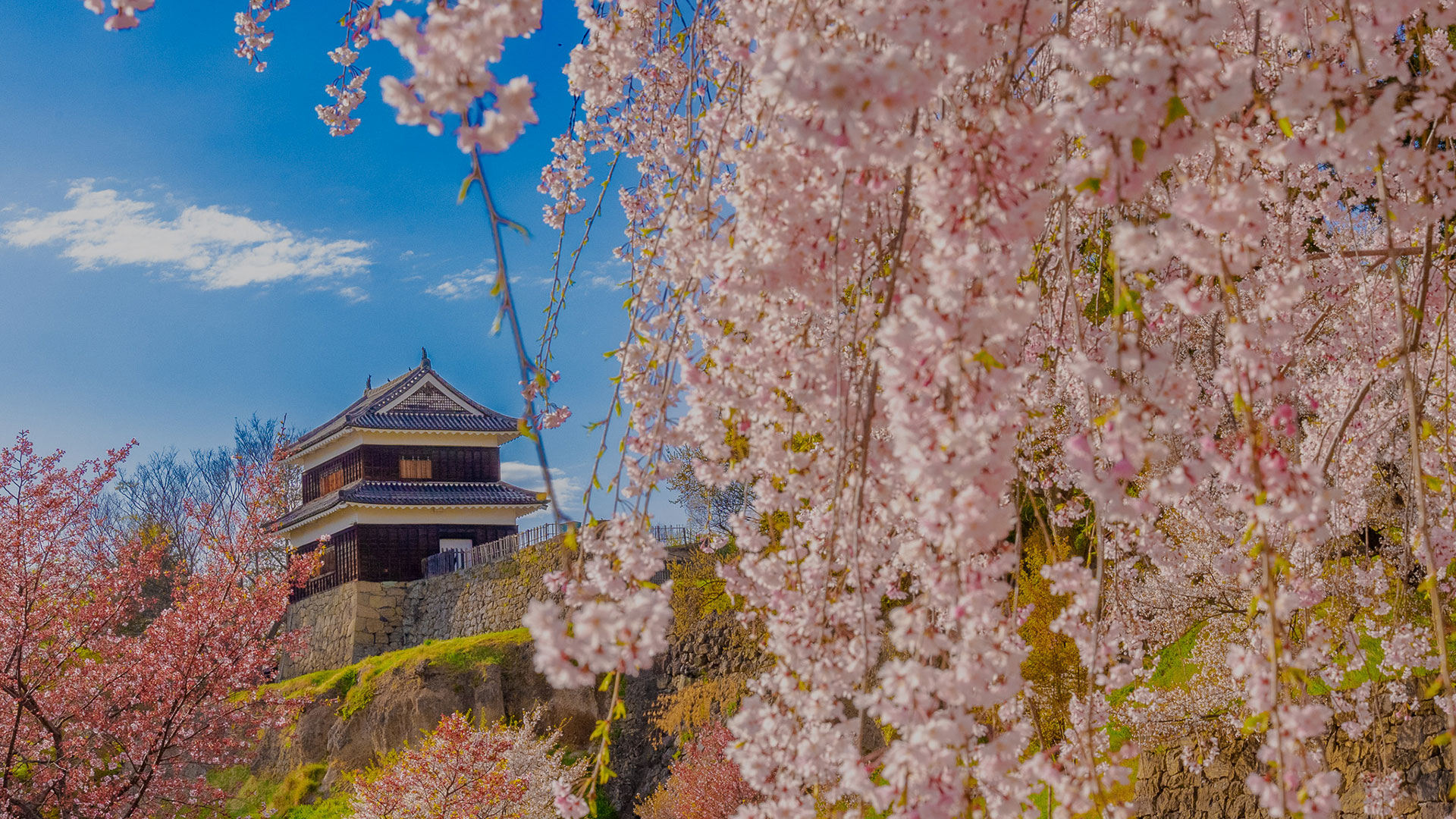 長野県の城一覧｜日本の旅侍