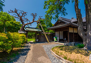 掛川城の見どころ11