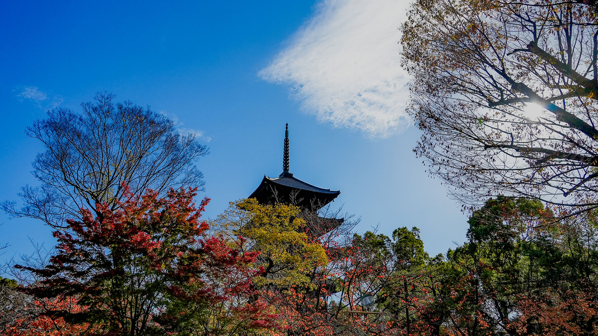 Tempio Toji |. Punti salienti della visita |. La storia spiegata in ...