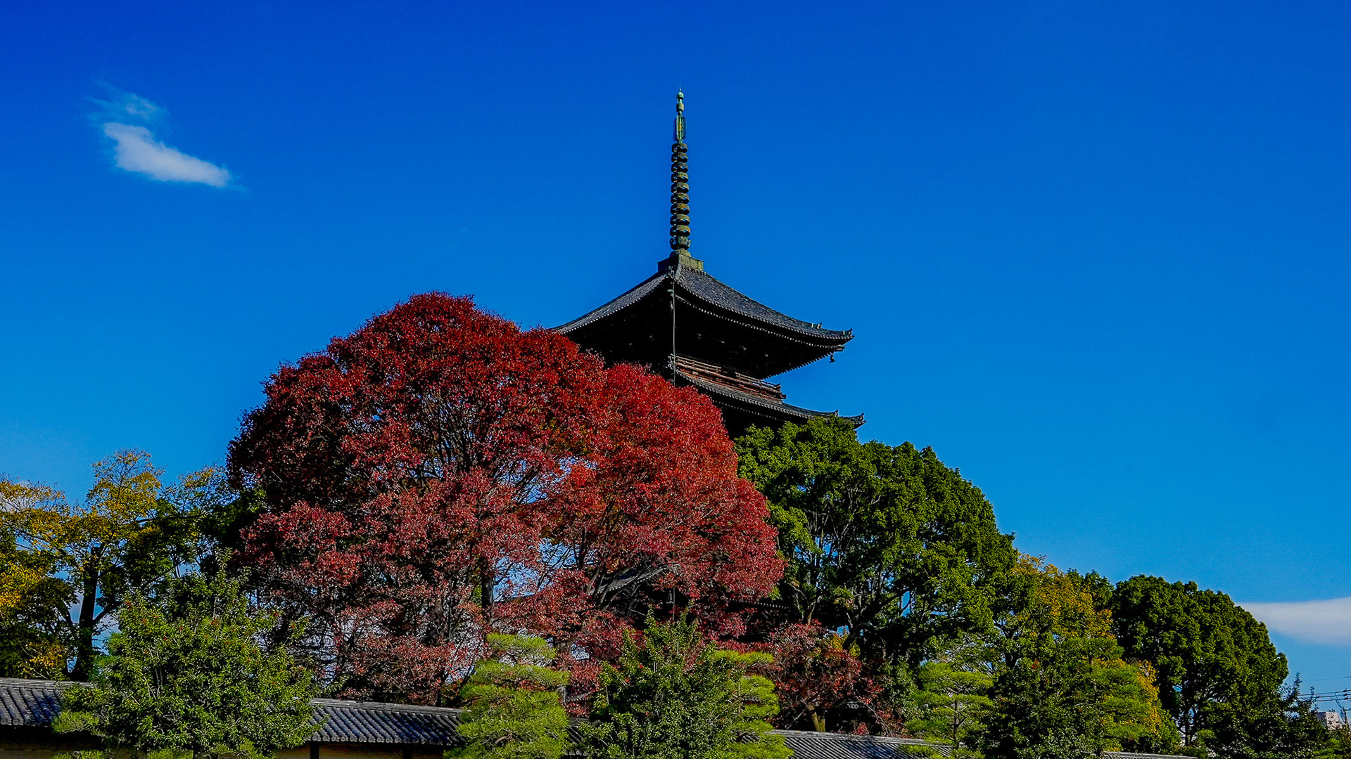 Tempio Toji |. Punti salienti della visita |. La storia spiegata in ...